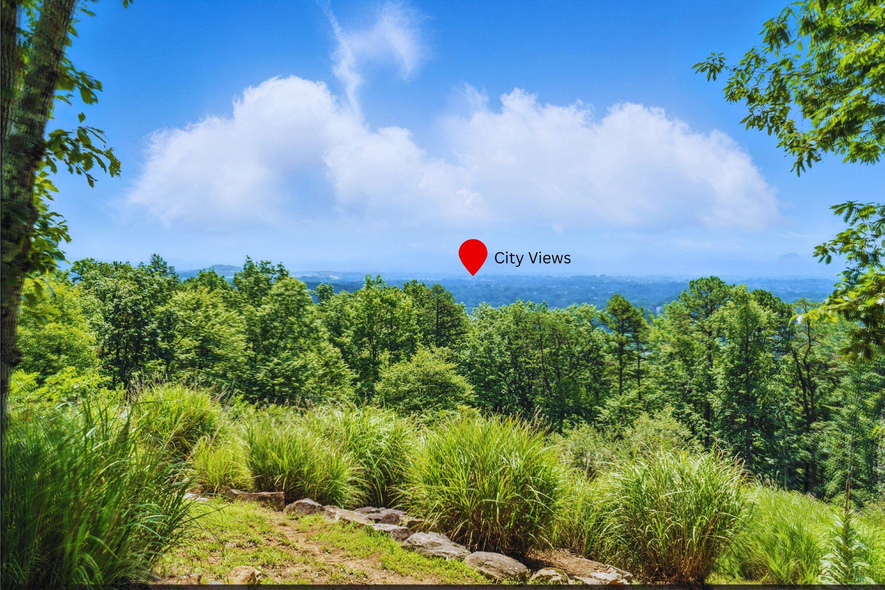 2525 Timberview Road Roanoke, VA 24019 - Photo 6 of 53 39-City Views(1)