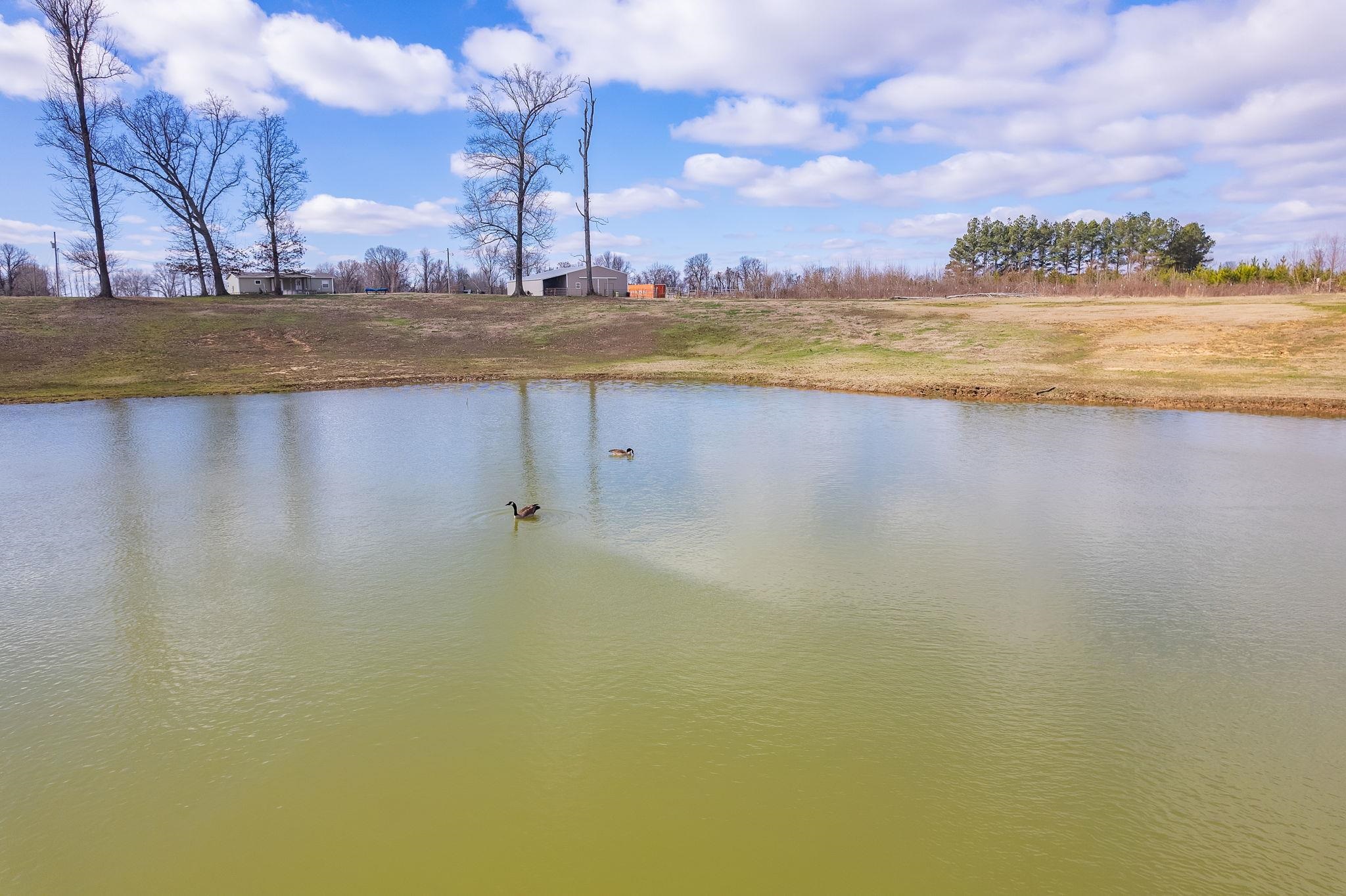 2656 Curve Woodville Road Ripley, TN 38063 - Photo 20 of 39