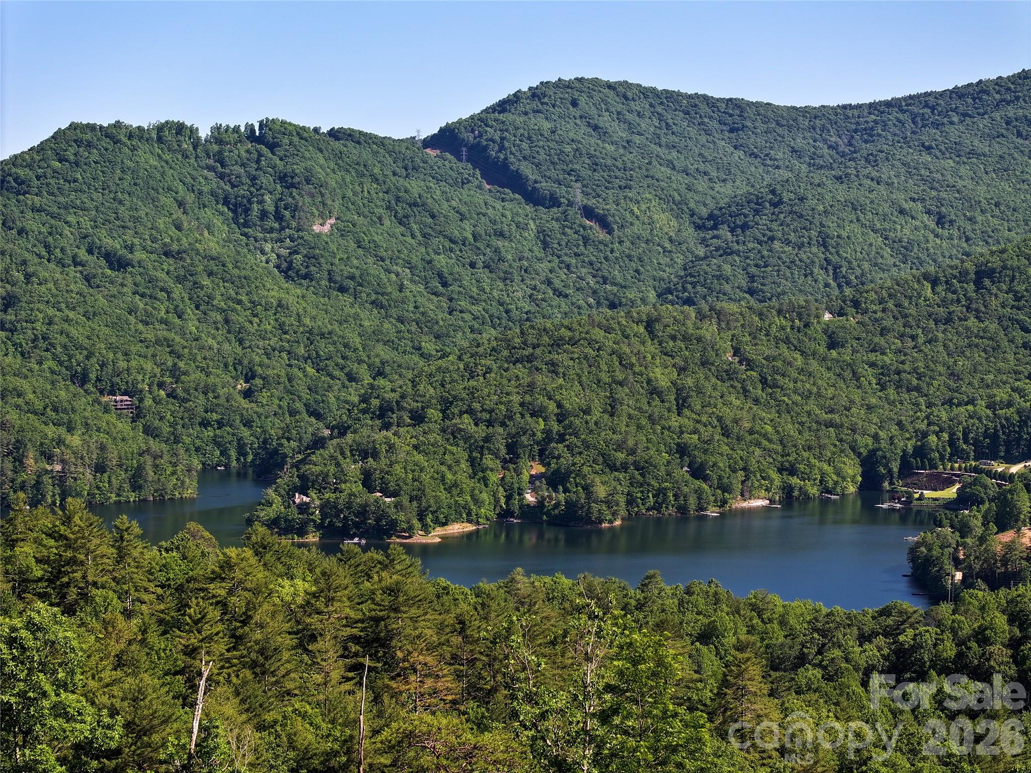 4017 Canada Road Tuckasegee, NC 28783 - Photo 6 of 46
