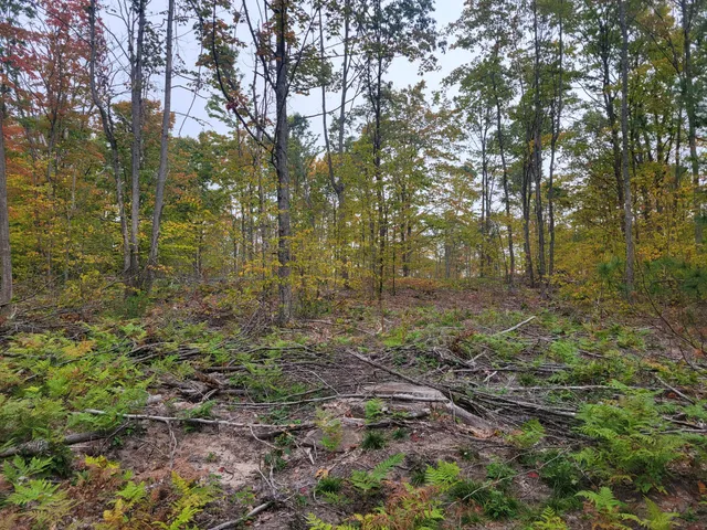 $49,999 | 22 22 3/4 Road, Manton, MI 49663