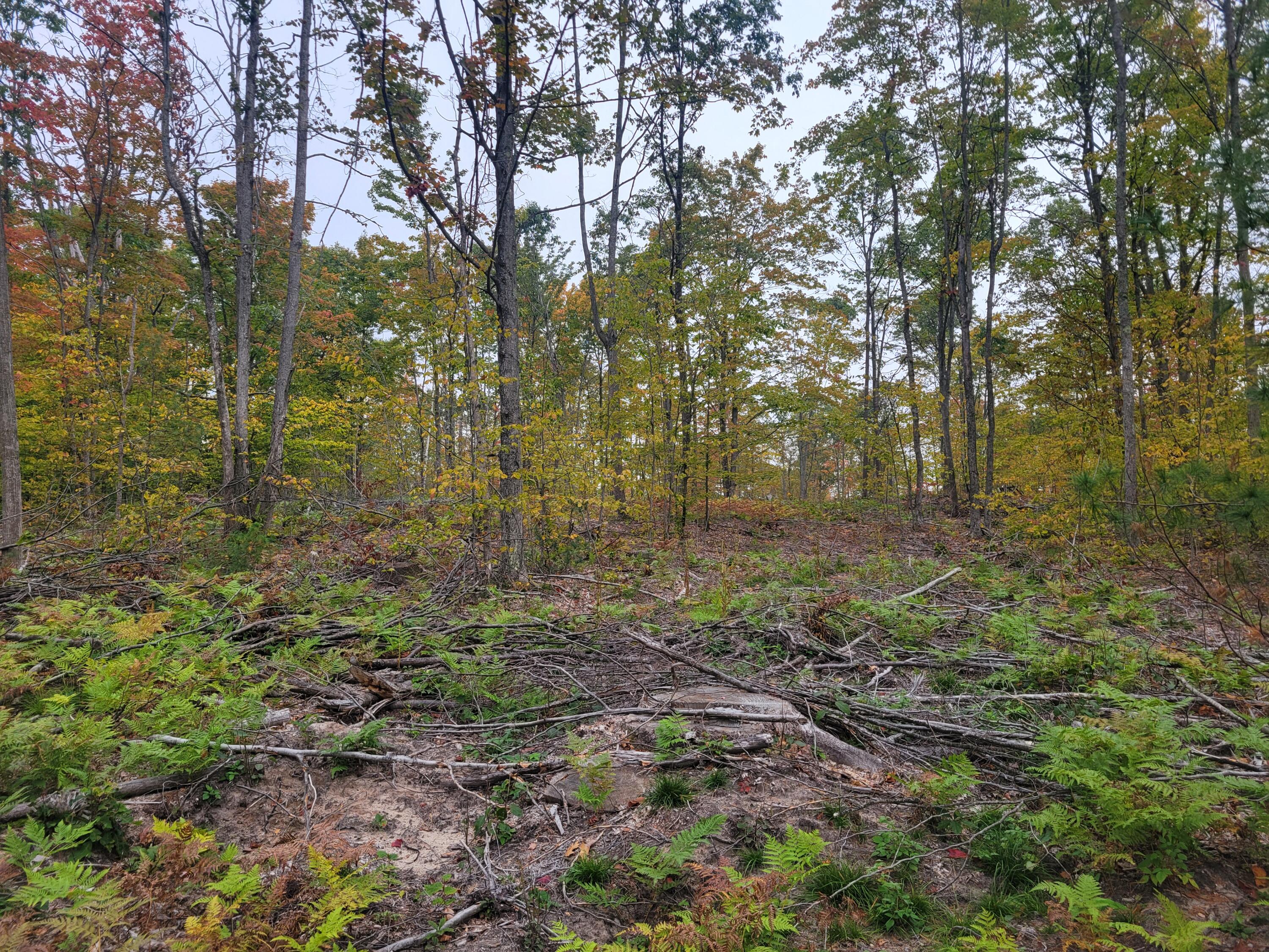 22 22 3/4 Road Manton, MI 49663 - Photo 11 of 21 20251013_105934