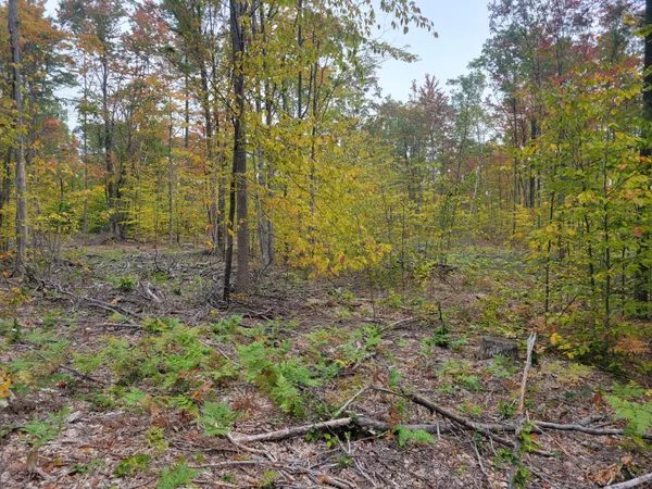 $49,999 | 22 22 3/4 Road, Manton, MI 49663