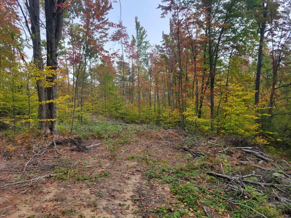 $49,999 | 22 22 3/4 Road, Manton, MI 49663