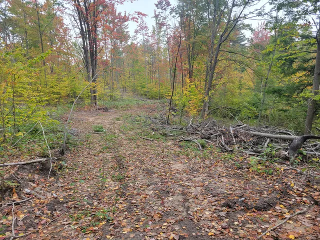 $49,999 | 22 22 3/4 Road, Manton, MI 49663