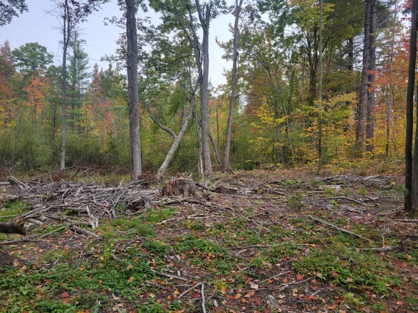 $49,999 | 22 22 3/4 Road, Manton, MI 49663