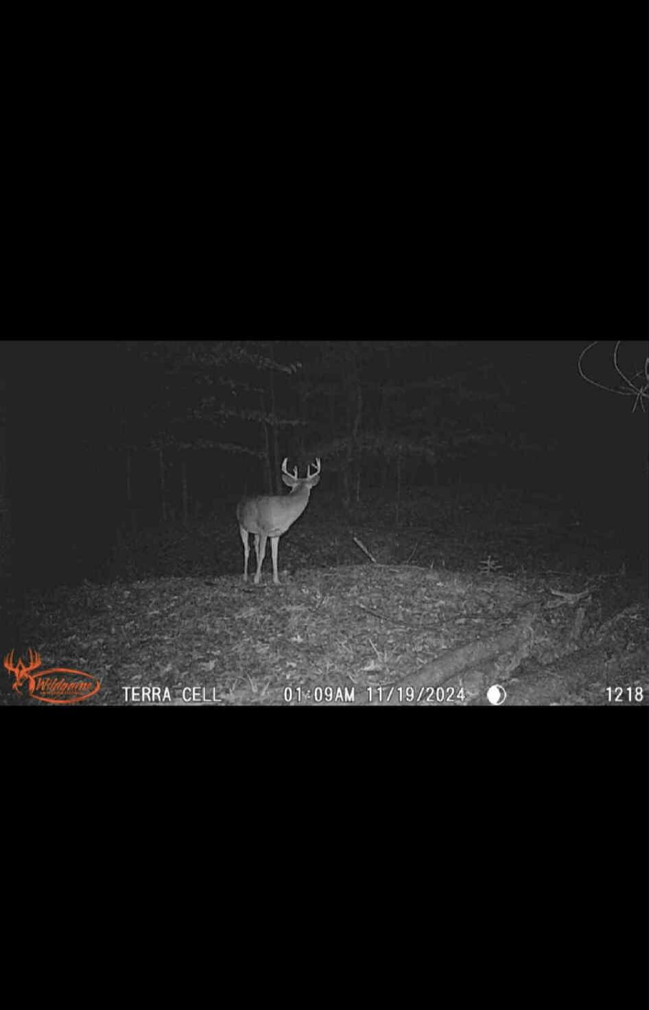 22 22 3/4 Road Manton, MI 49663 - Photo 19 of 21 Messenger_creation_5E0BD8E7-9218-4CA4-96