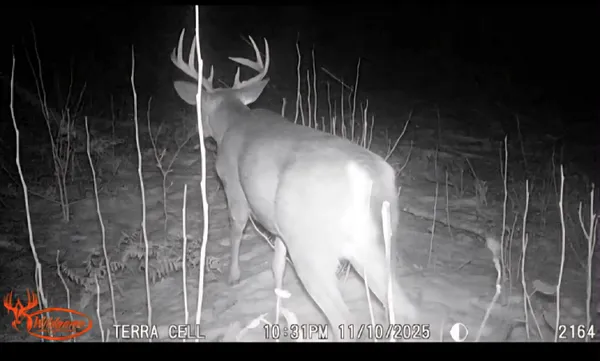 $49,999 | 22 22 3/4 Road, Manton, MI 49663