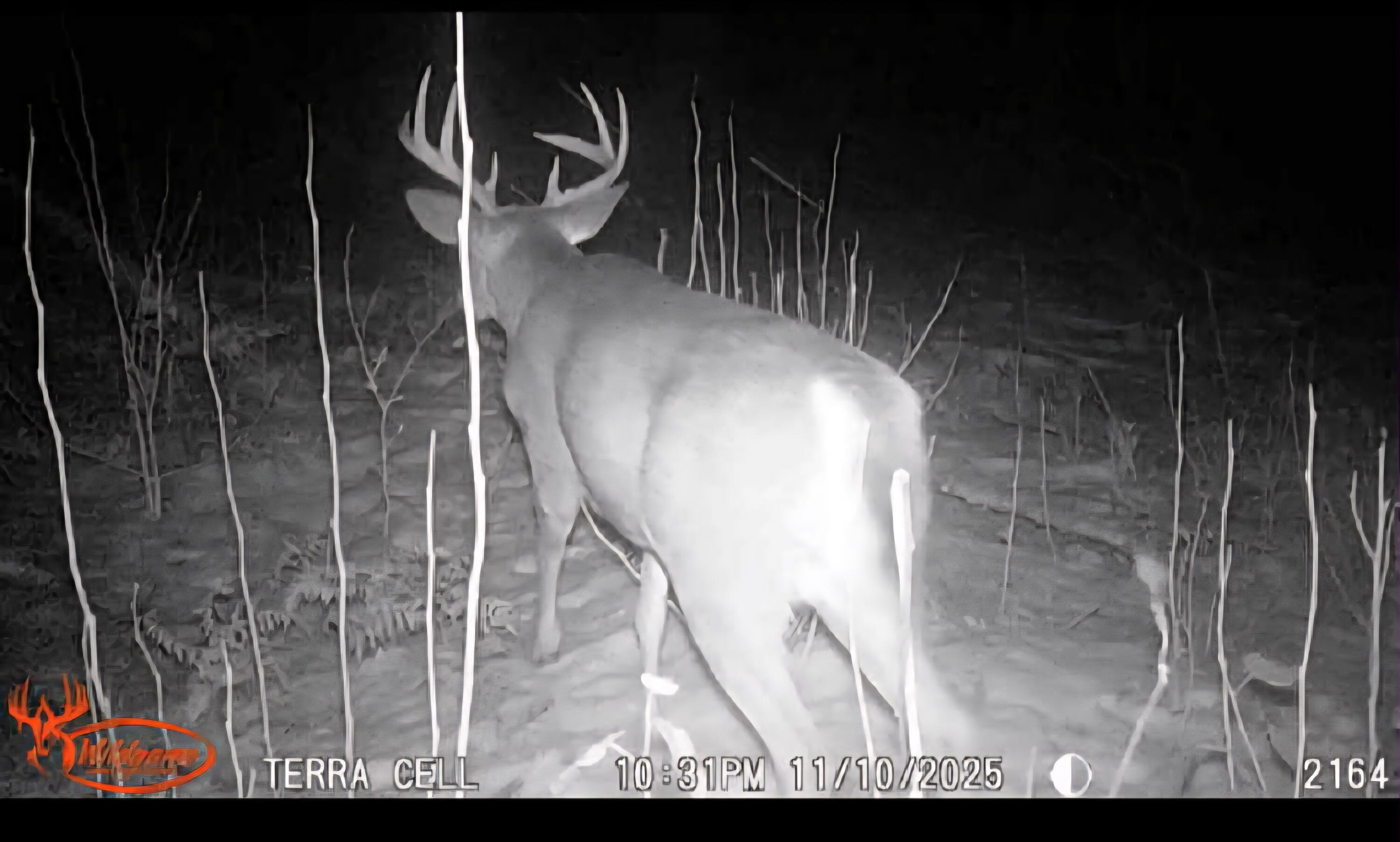 22 22 3/4 Road Manton, MI 49663 - Photo 2 of 21 Messenger_creation_480C0E02-1472-4AF9-95