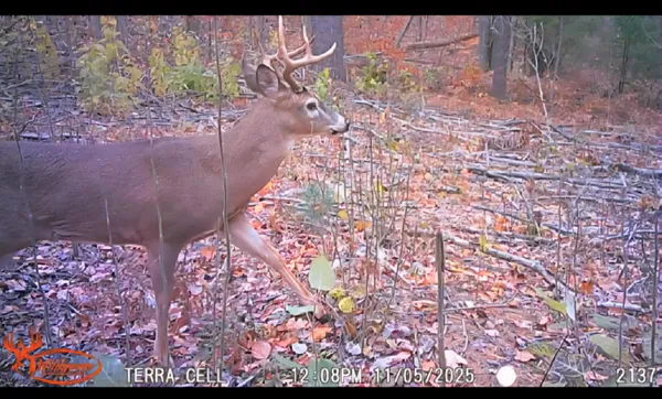 $49,999 | 22 22 3/4 Road, Manton, MI 49663