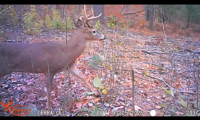 $49,999 | 22 22 3/4 Road, Manton, MI 49663