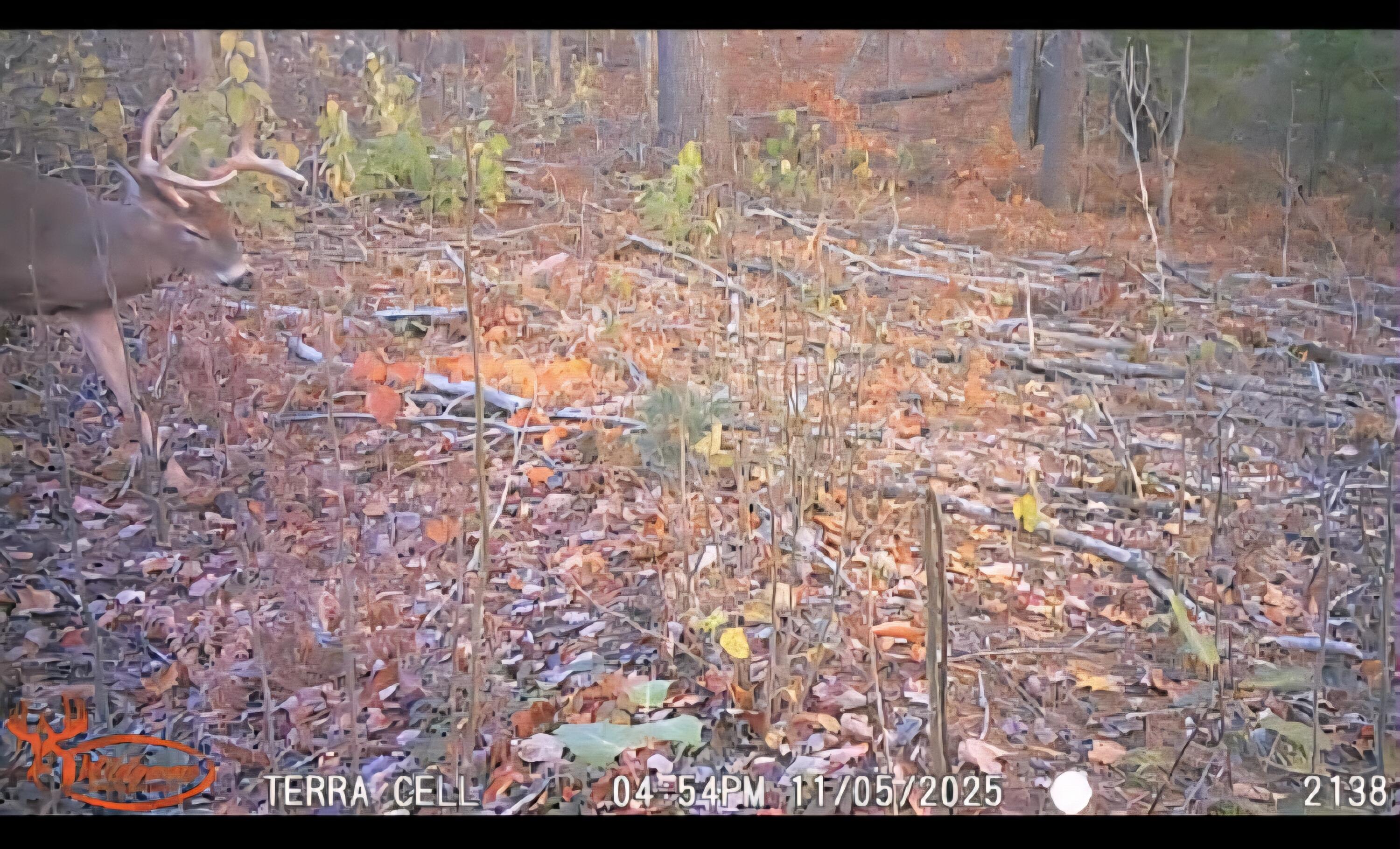 22 22 3/4 Road Manton, MI 49663 - Photo 4 of 21 Messenger_creation_4C20E123-ABF3-4027-98