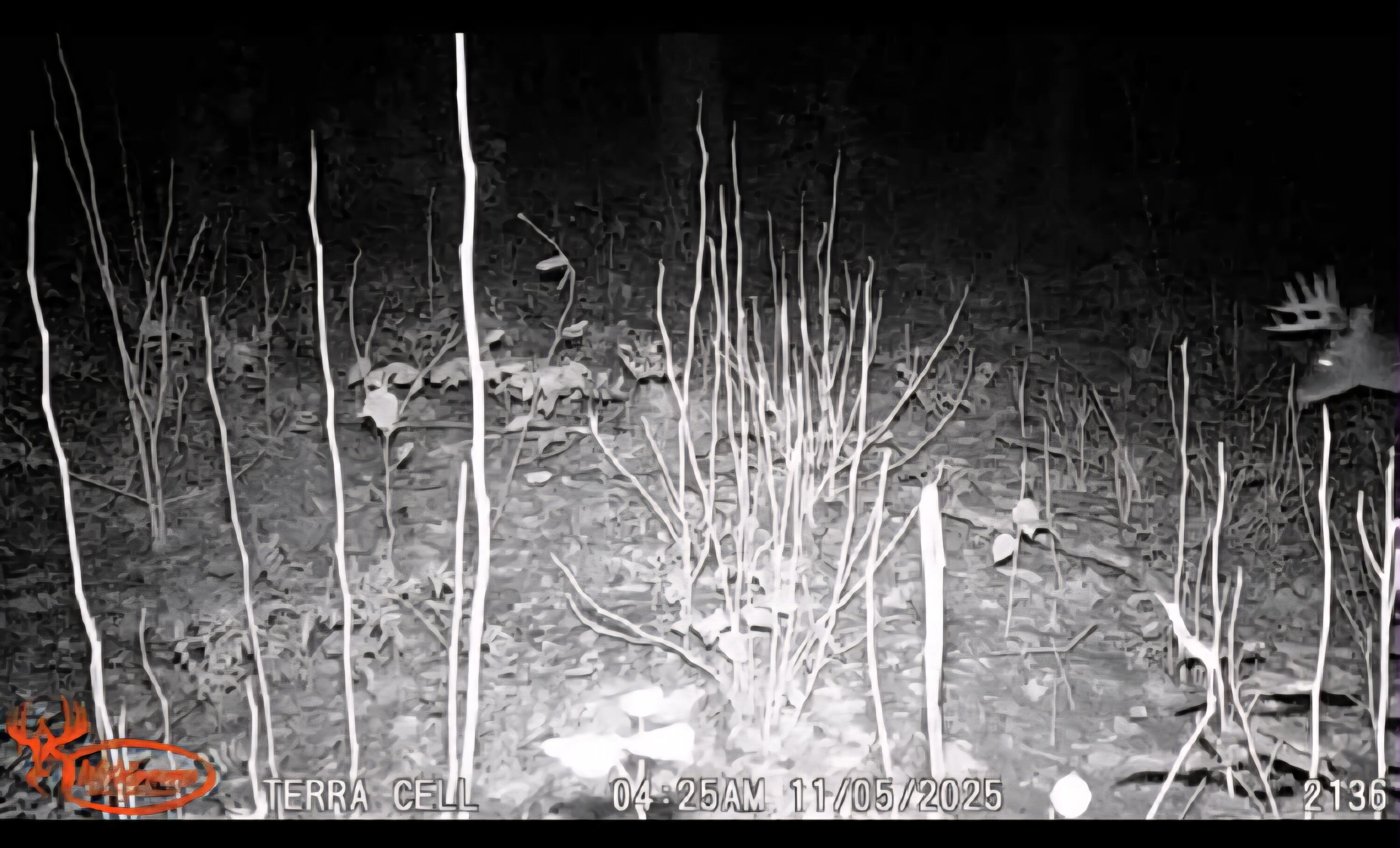 22 22 3/4 Road Manton, MI 49663 - Photo 5 of 21 Messenger_creation_8BEED686-F51F-472B-81