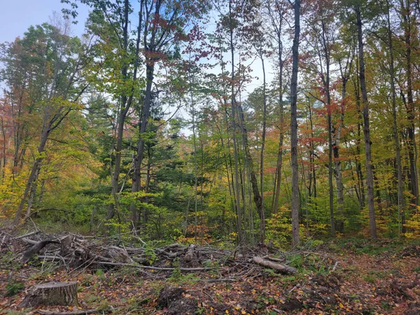 $49,999 | 22 22 3/4 Road, Manton, MI 49663