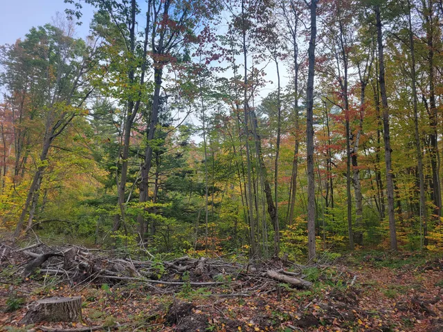 $49,999 | 22 22 3/4 Road, Manton, MI 49663