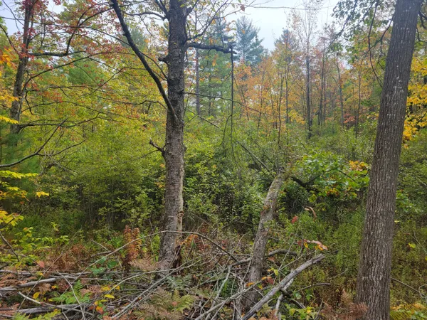 $49,999 | 22 22 3/4 Road, Manton, MI 49663