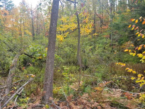 $49,999 | 22 22 3/4 Road, Manton, MI 49663