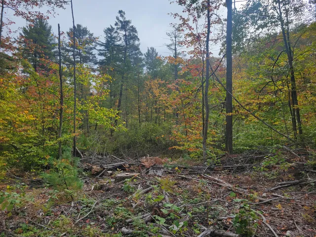 $49,999 | 22 22 3/4 Road, Manton, MI 49663