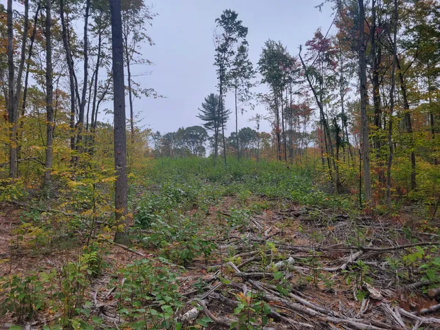 $49,999 | 22 22 3/4 Road, Manton, MI 49663