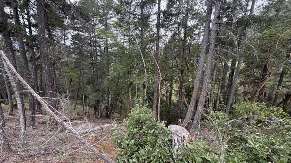 $12,000 | 25648 Madrone Drive, Willits, CA 95490