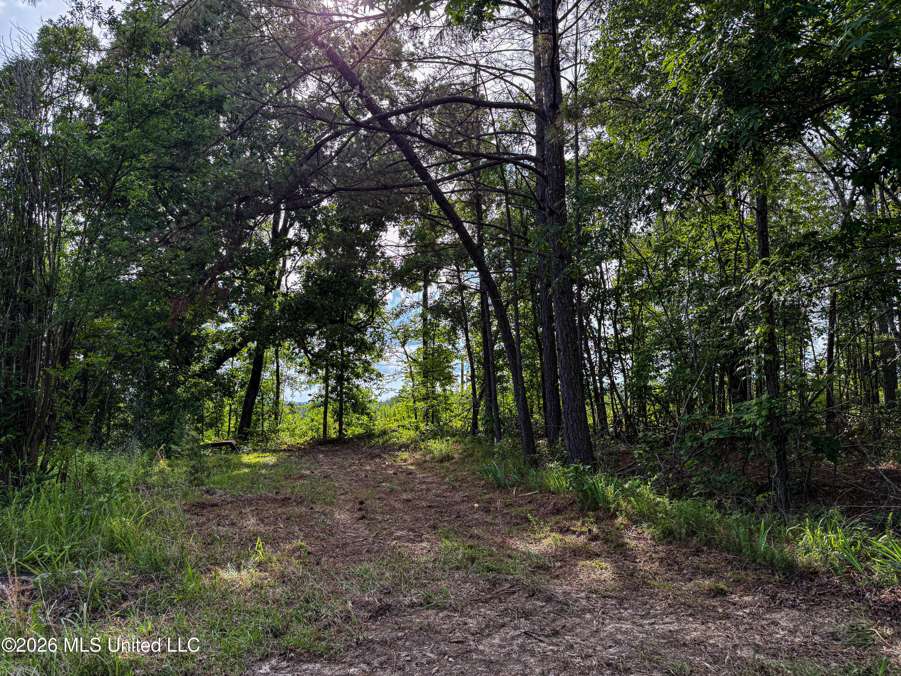 816 County Road Blue Mountain, MS 38610 - Photo 13 of 21 IMG_1384
