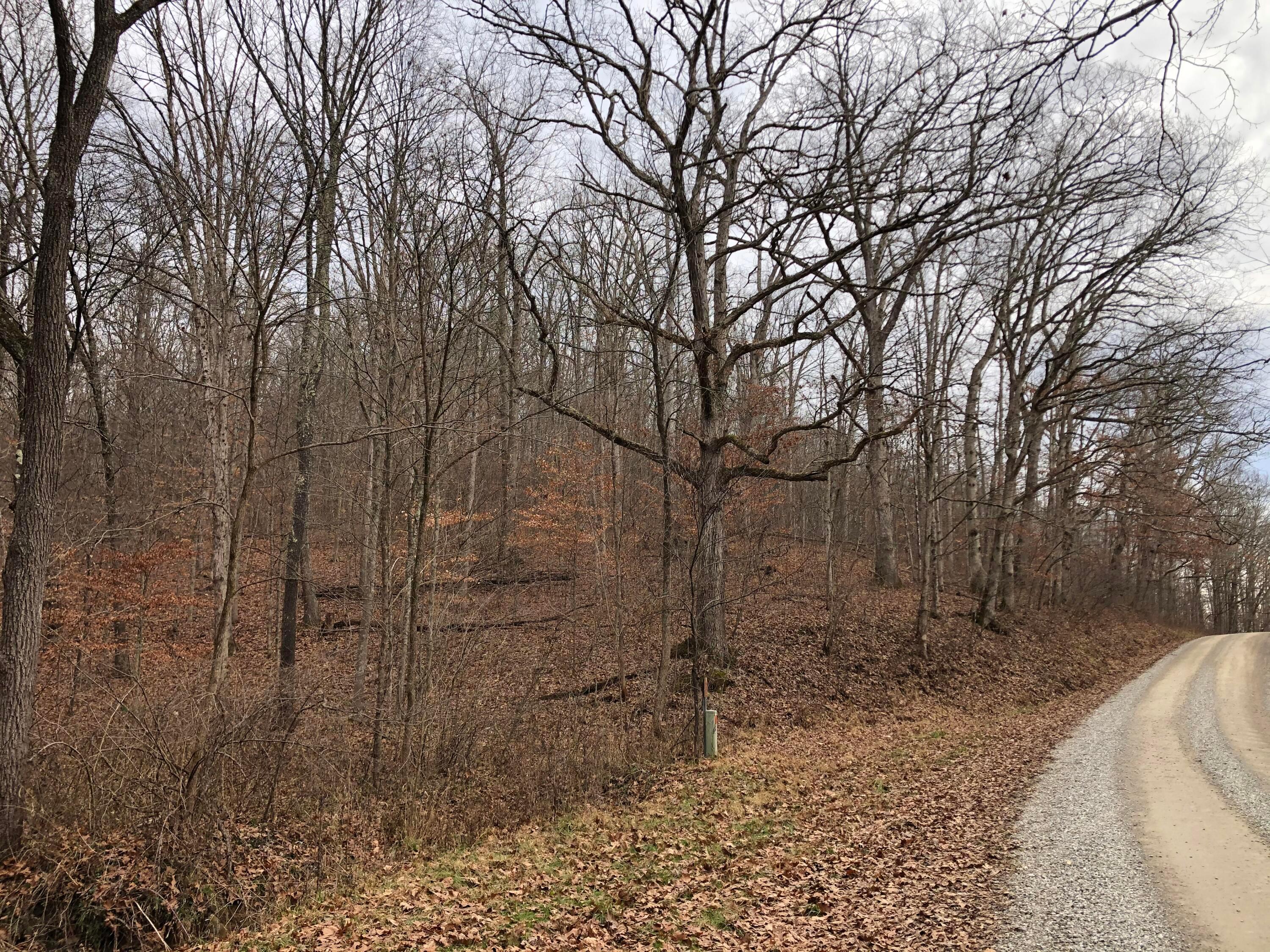 0 Carr Bailey Road Millfield, OH 45761 - Photo 7 of 11 6