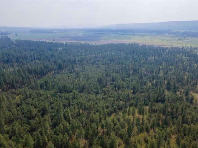 Xx Xx 231st Highway Springdale, WA 99173 - Photo 6 of 38