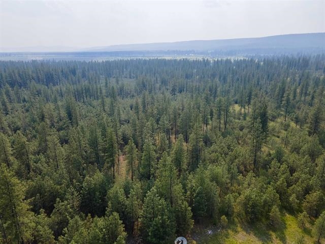 Xx Xx 231st Highway Springdale, WA 99173 - Photo 10 of 38