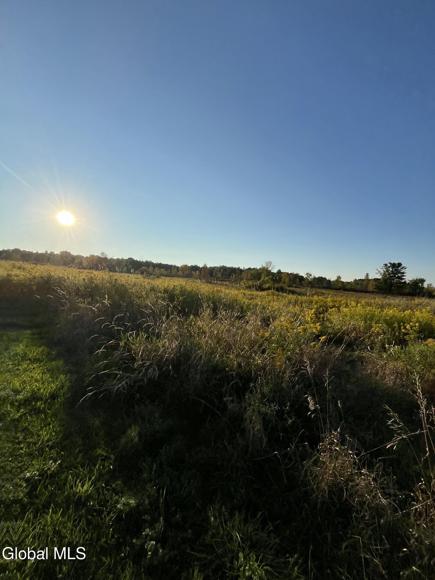 1296 Highway 162 Root, NY 12166 - Photo 42 of 53 IMG_5063