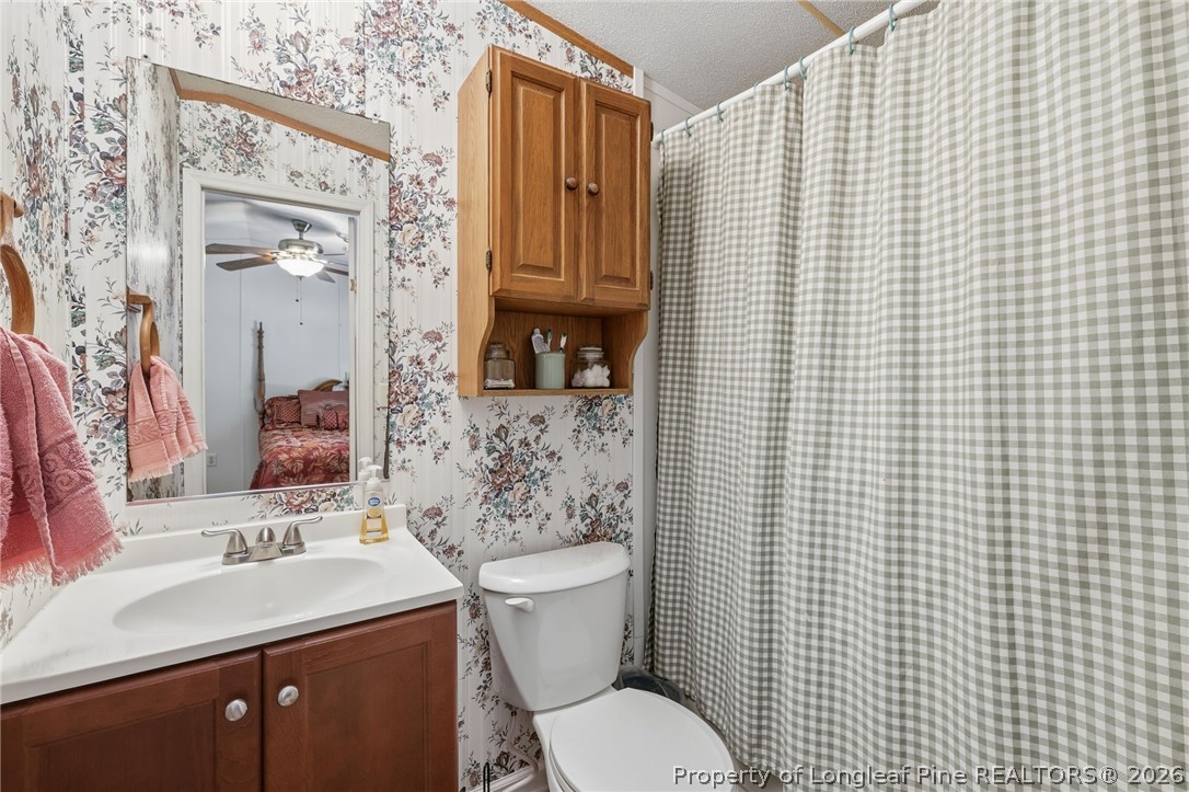 10400 Ruth Vinson Road Autryville, NC 28318 - Photo 45 of 49 a bathroom with a sink a toilet and mirror