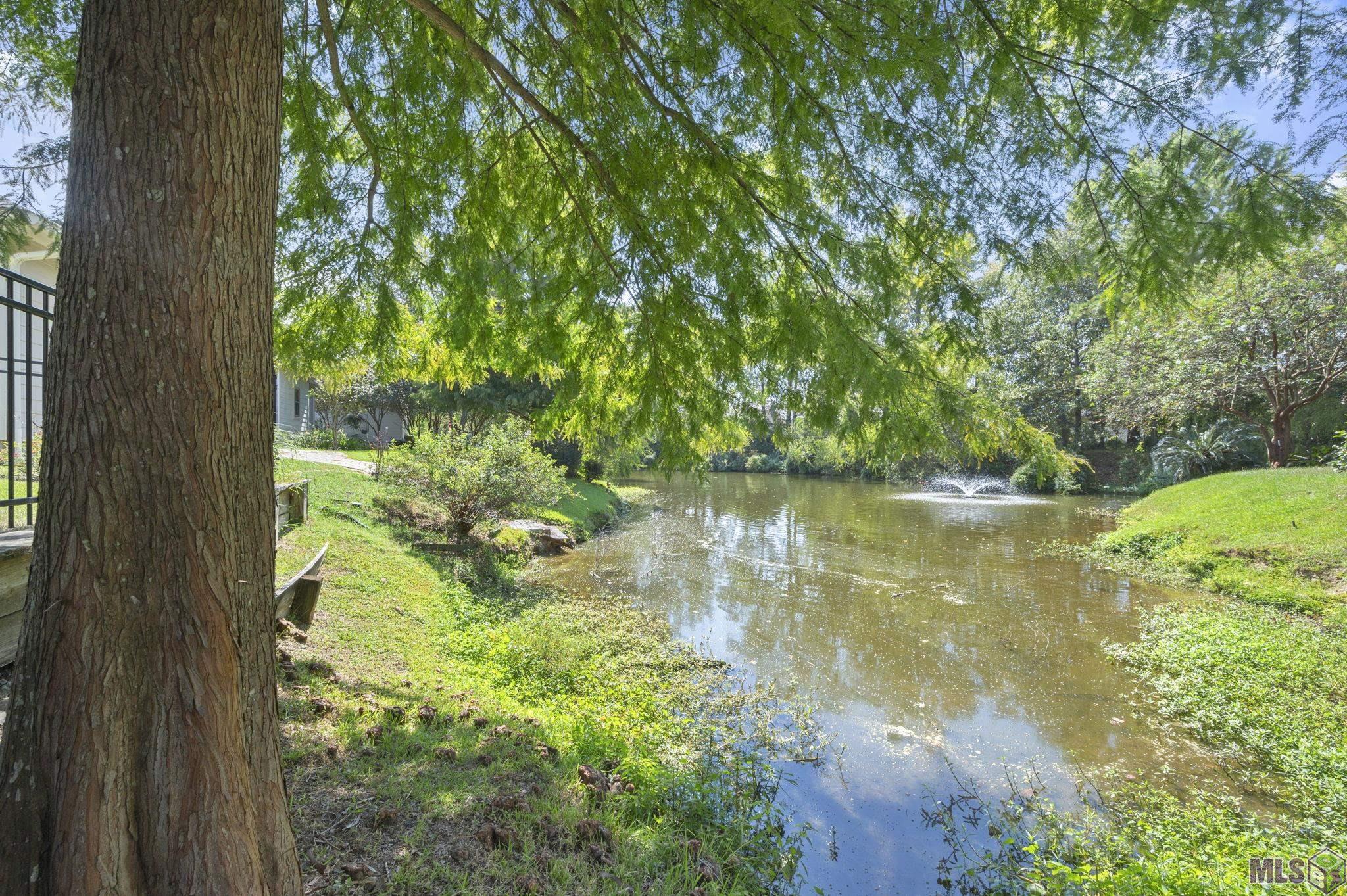9216 Essex Bay Court Baton Rouge, LA 70809 - Photo 3 of 21 Pond