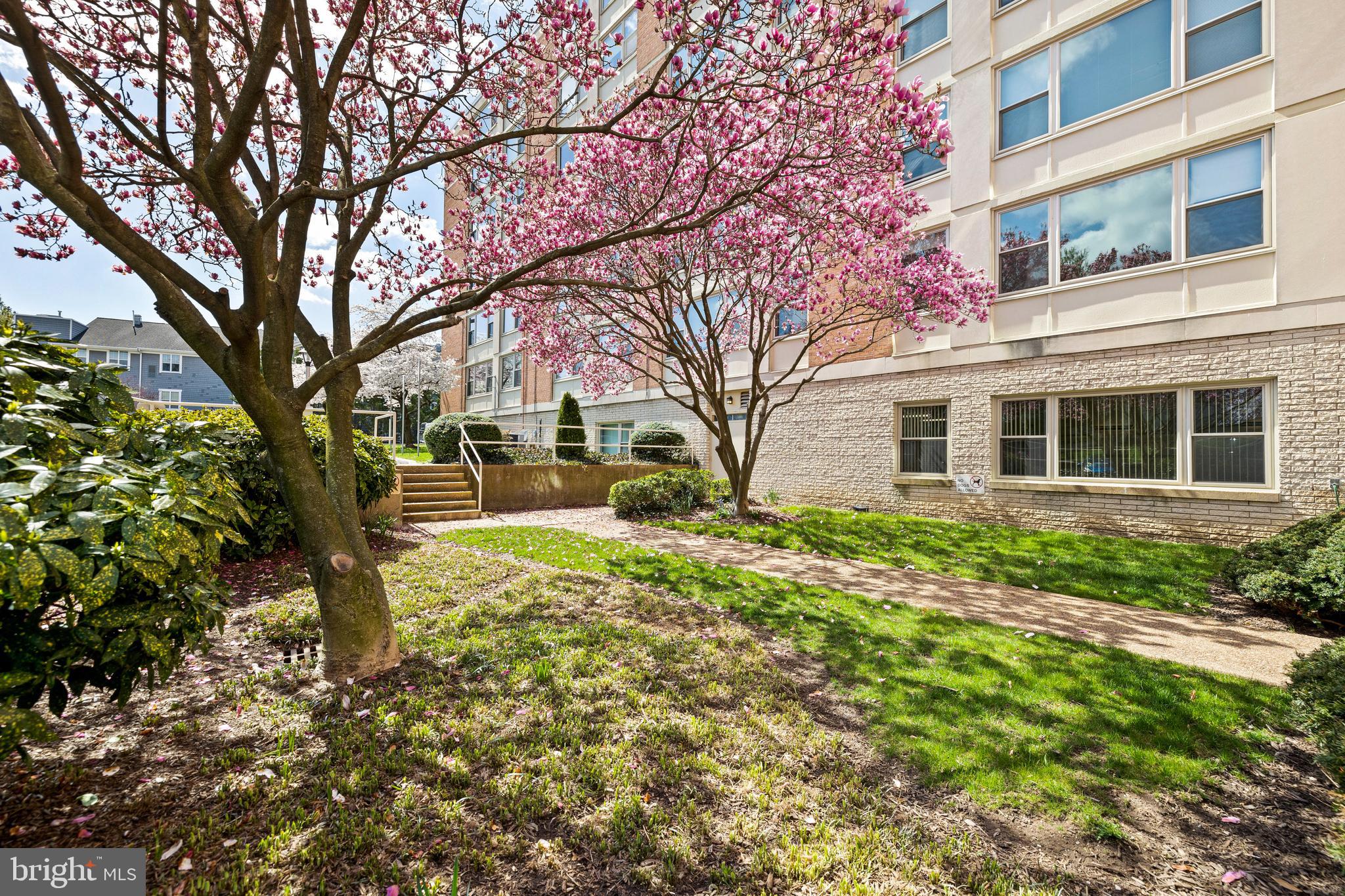 4401 Roland Avenue, Unit 415 Baltimore, MD 21210 - Photo 40 of 48