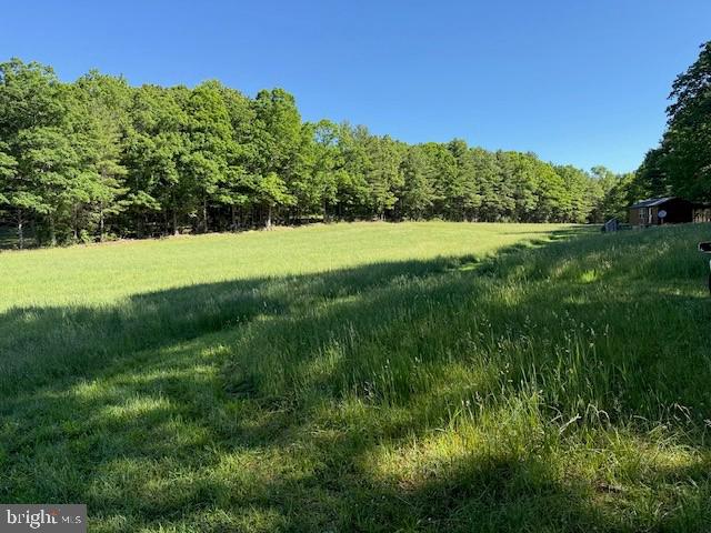 184 Skiles- Pitsenbarger Road Franklin, WV 26807 - Photo 29 of 39 Lush green meadow meets serene woods.