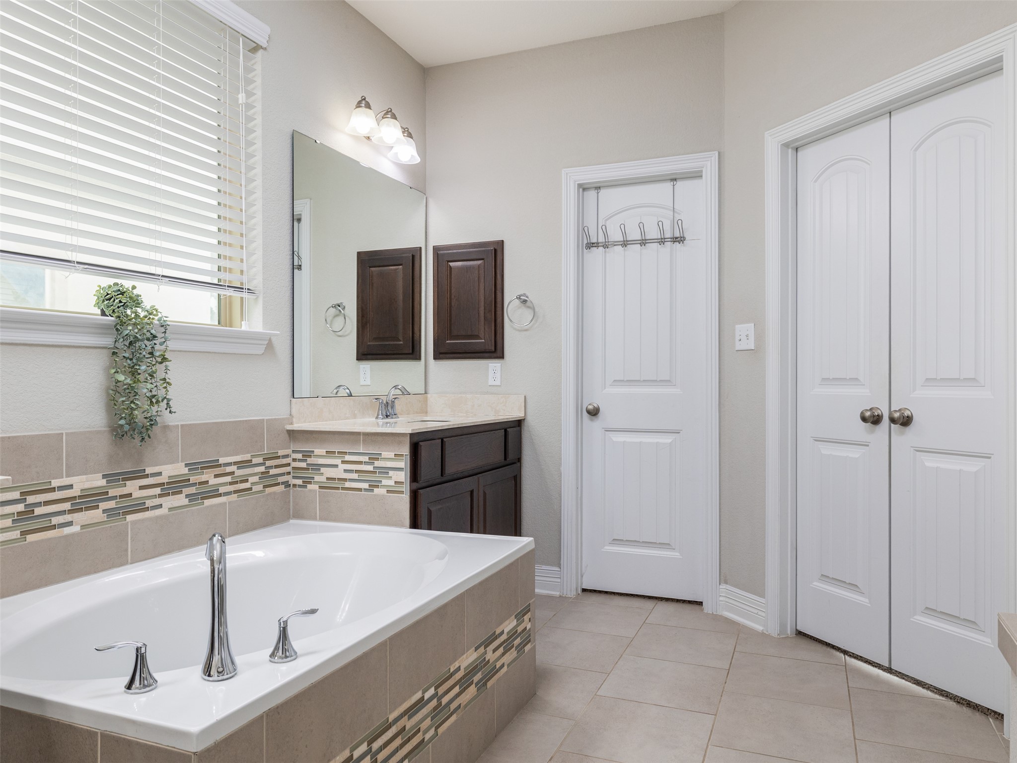 717 Blue Agave Lane Georgetown, TX 78626 - Photo 15 of 28 a bathroom with a tub a sink and a large mirror
