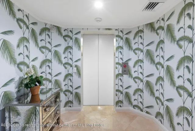 a view of a potted plant and a shower curtain