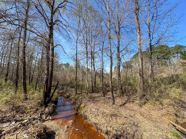a view of backyard of a house