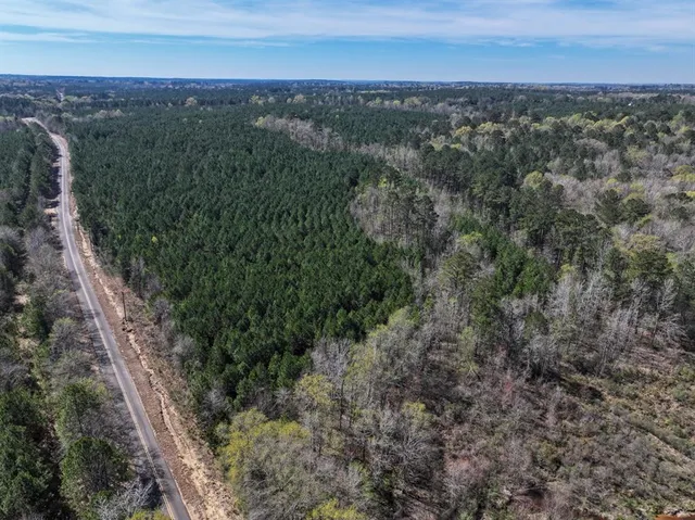 an aerial view of residential houses with outdoor space and trees