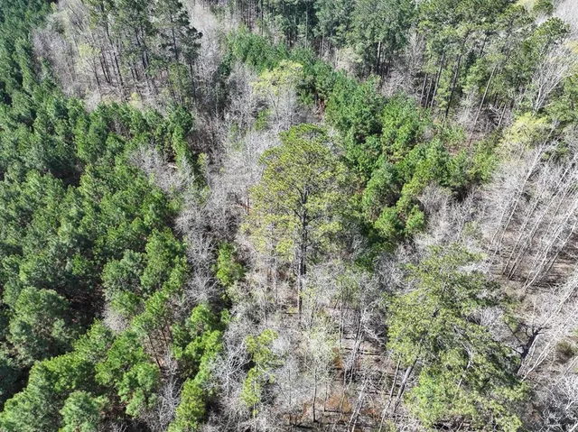 an aerial view of residential house with outdoor space and trees all around