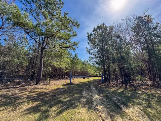 a view of outdoor space with trees