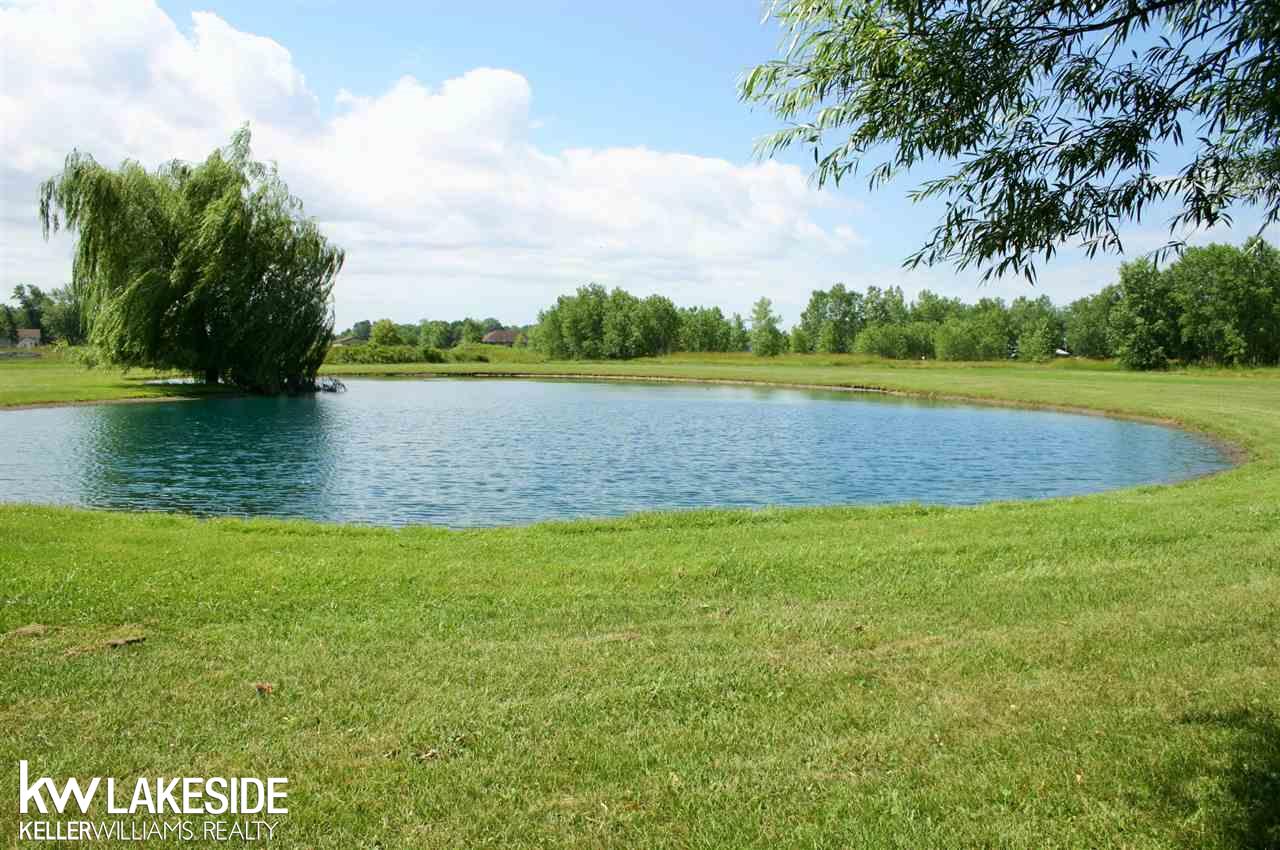3365 Knoll Road Capac, MI 48014 - Photo 55 of 57