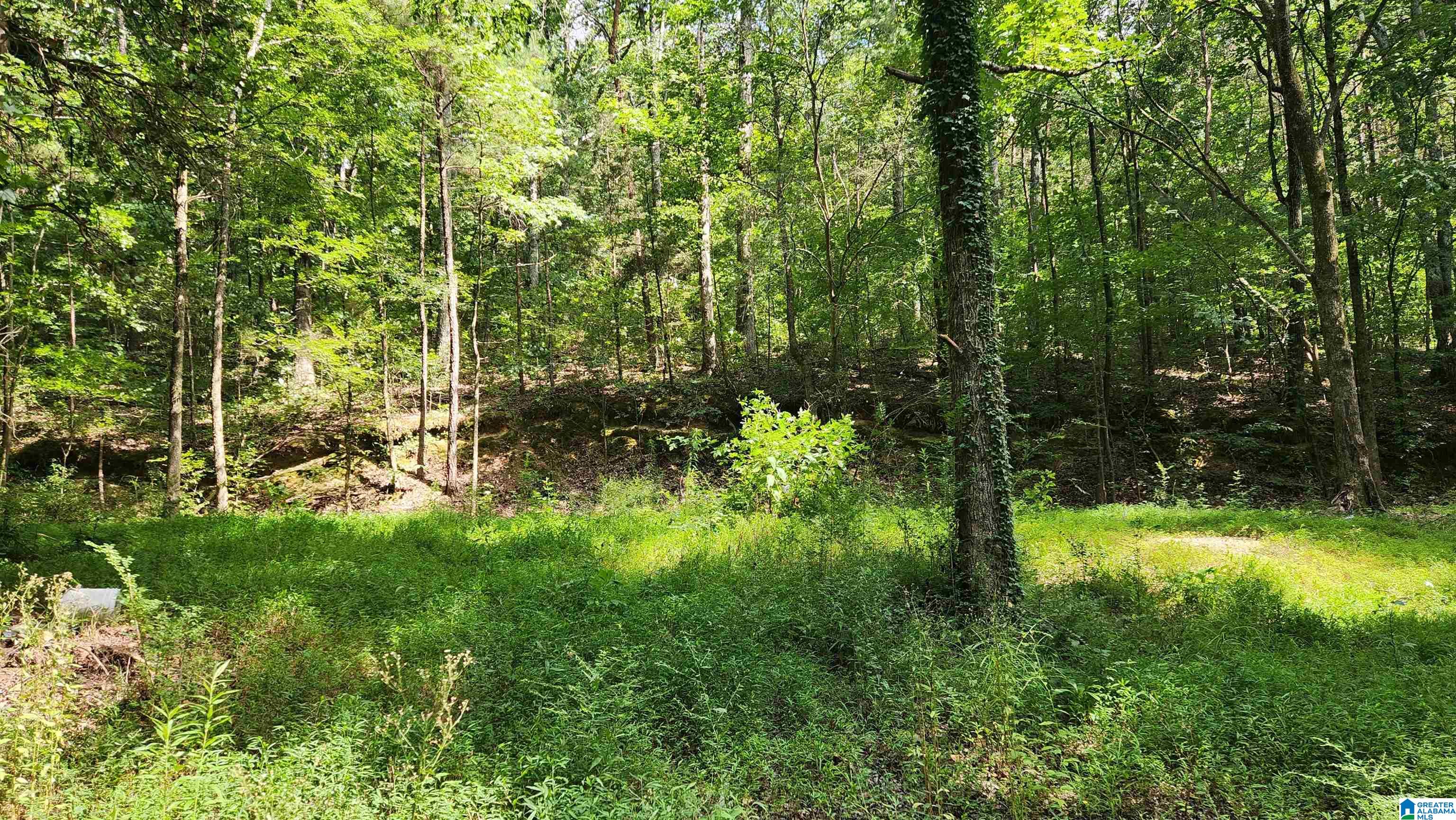 5233 Dewey Heights Road Pinson, AL 35126 - Photo 5 of 5