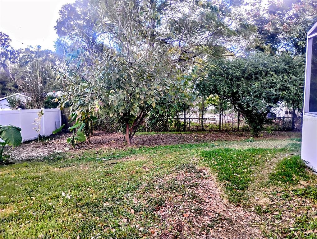 4515 Orangewood Loop East Lakeland, FL 33813 - Photo 37 of 39 a view of backyard with green space