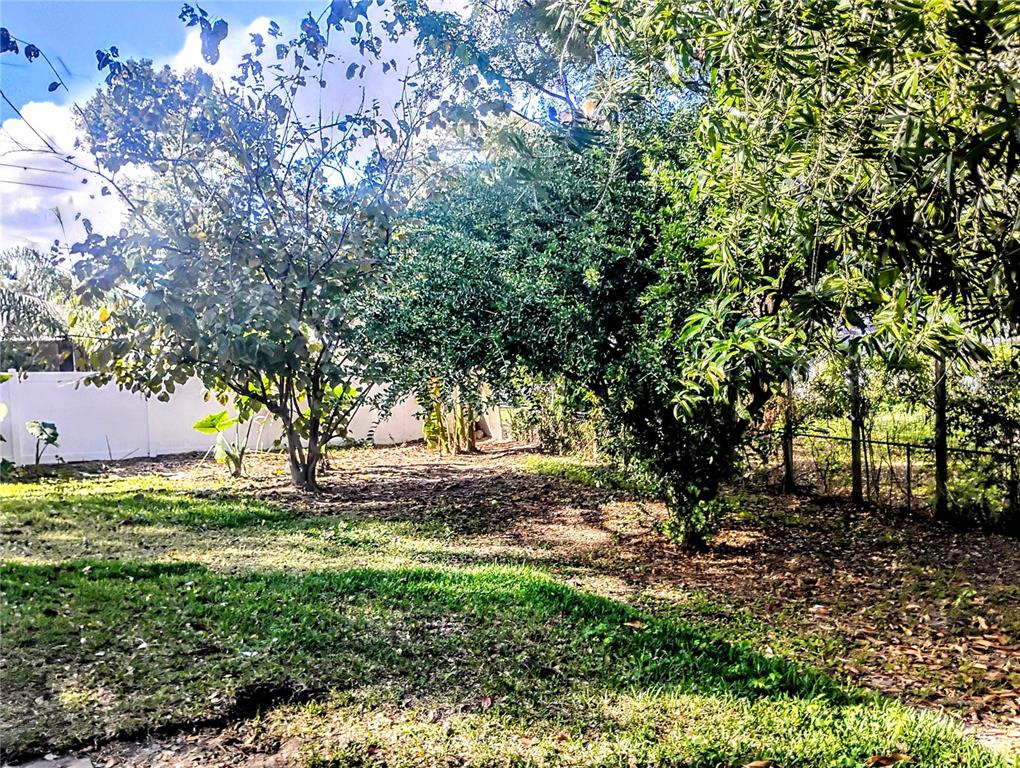 4515 Orangewood Loop East Lakeland, FL 33813 - Photo 38 of 39 a view of a yard with a tree