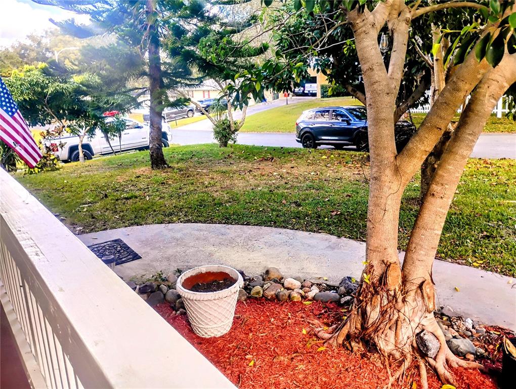 4515 Orangewood Loop East Lakeland, FL 33813 - Photo 7 of 39 a view of yard with swimming pool and trees