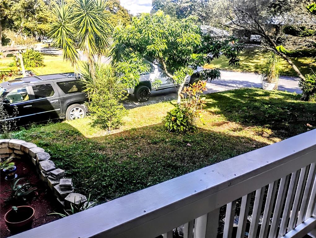4515 Orangewood Loop East Lakeland, FL 33813 - Photo 9 of 39 a view of a yard with potted plants