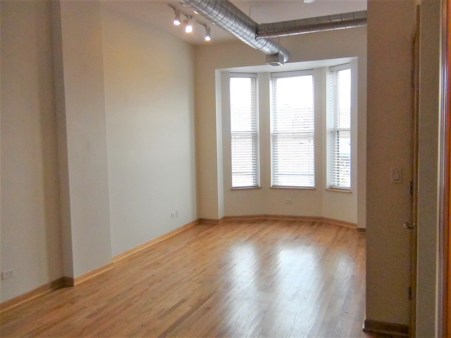 1008 South Loomis Street, Unit 1 Chicago, IL 60607 - Photo 3 of 11