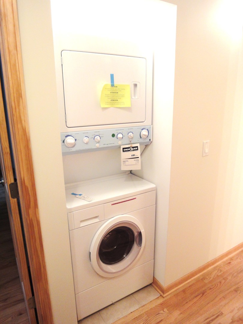 1008 South Loomis Street, Unit 1 Chicago, IL 60607 - Photo 10 of 11