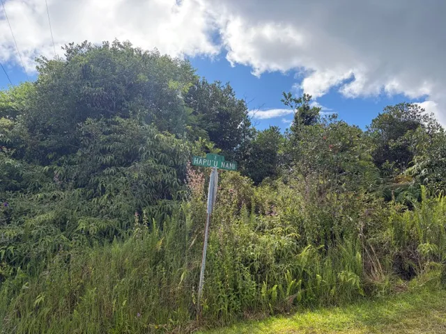 $42,000 | 18-1974 Lot 133 Hapuu Nani Road, Mountain View, HI 96771