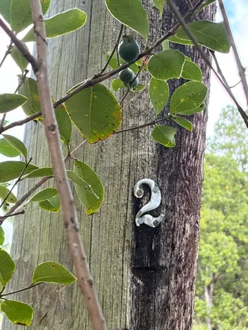 $42,000 | 18-1974 Lot 133 Hapuu Nani Road, Mountain View, HI 96771