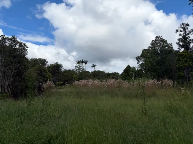 $42,000 | 18-1974 Lot 133 Hapuu Nani Road, Mountain View, HI 96771