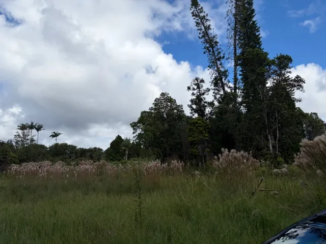 $42,000 | 18-1974 Lot 133 Hapuu Nani Road, Mountain View, HI 96771